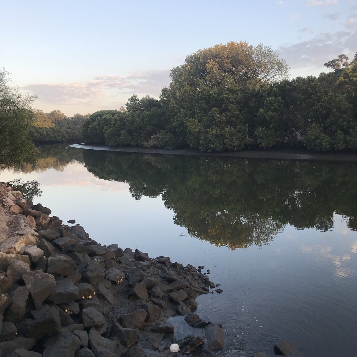 jess_emclean's tweet photo. Morning walk along the Cooks before day 2 of #disruptgeog. Looking forward to more disruptive scheduling and excellent conversations. https://t.co/zd9kTeSC8s