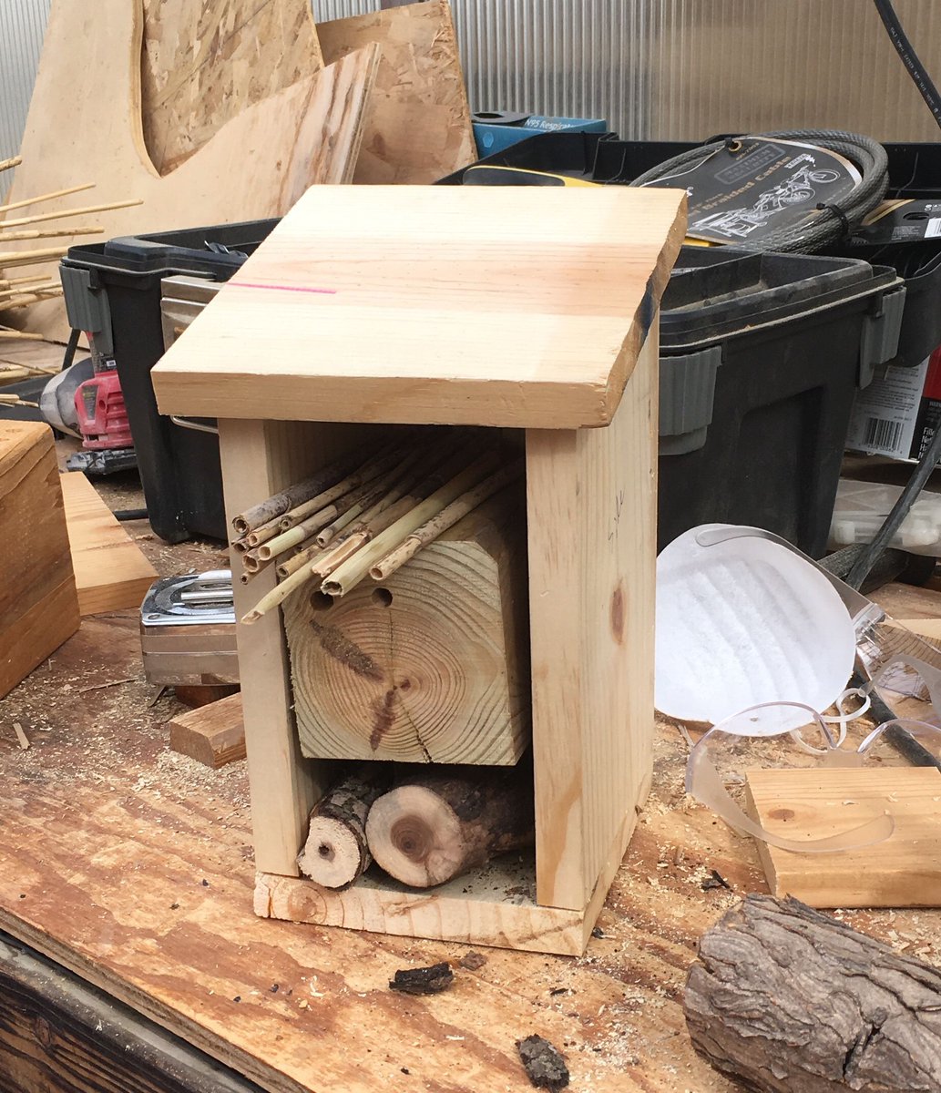 JodyBugsMeUNL's tweet photo. Prototype of our #AirBeeNBee by #BeeSuite group. Goal is to distribute a bunch of #solitarybee hotels in #Nebraska along with educational materials on attracting, observing, identifying #pollinators  &amp; care/maintenace of the hotel #nebext #fallconference https://t.co/k5VBXc1OYR