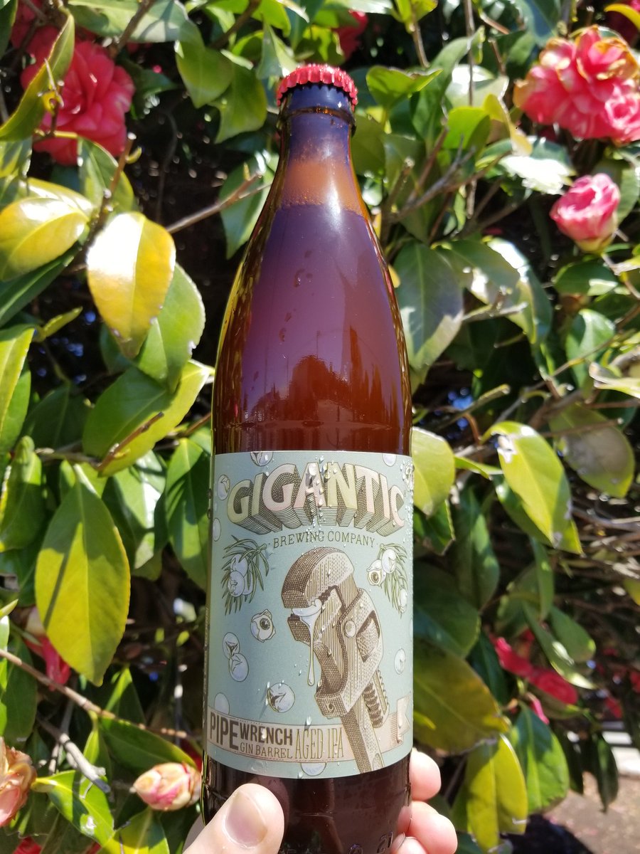 GiganticBrewing's tweet image. Spring is in the air today! We've got a #fresh batch of Pipewrench, brand new #labelart @oliviaknappart and the best #pintsize bottle 🌱🌷☀️
