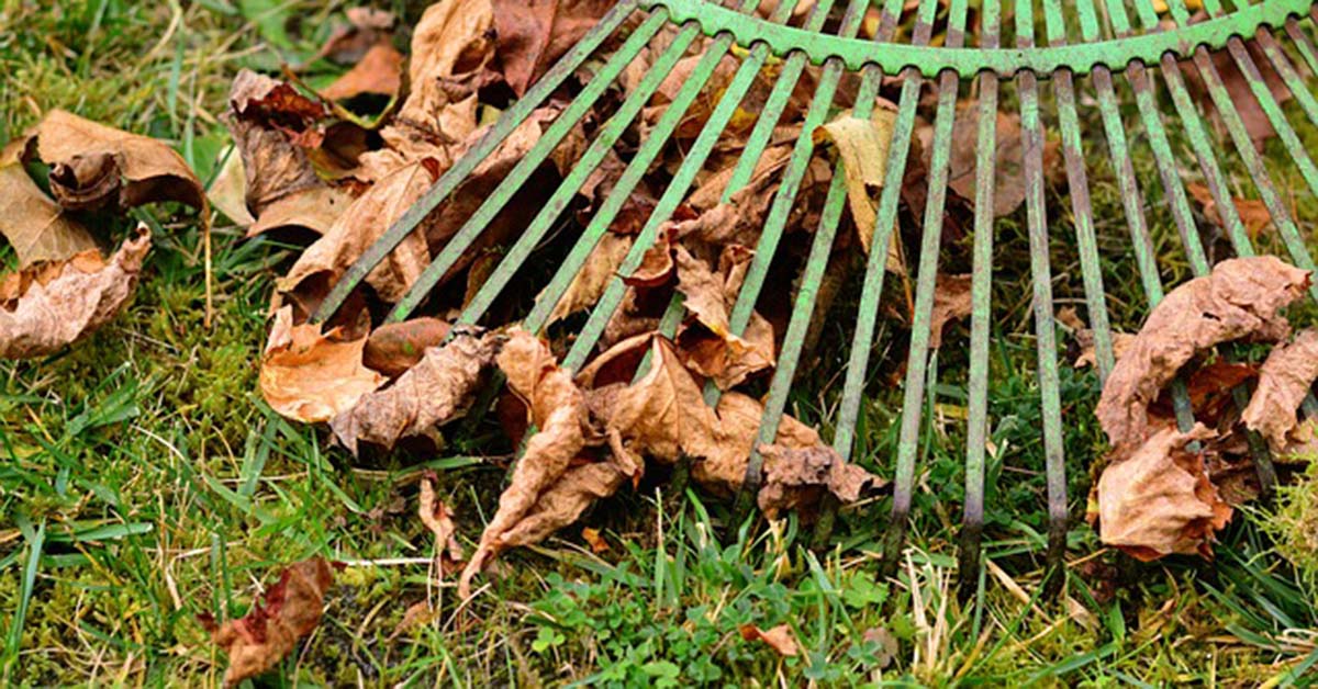 Due to weather conditions, the District of #Muskoka has postponed Leaf and Yard Waste collection until May. Curbside collection will be provided to urban area residential households with Green Bin service on Sat, May 5 and Sat, May 12. More info: ow.ly/Rgb330jA3v0