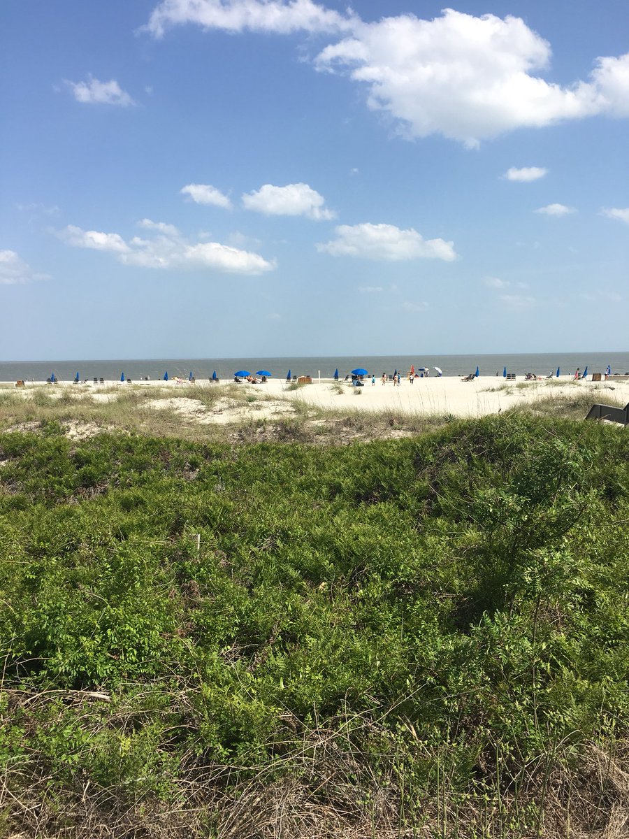 LBrahler's tweet photo. Gotta love when the conference you are at has a view like this! Having a great time at Pork Management Conference 2018!  #pmc2018 #hiltonhead https://t.co/AL5hxpEFhm