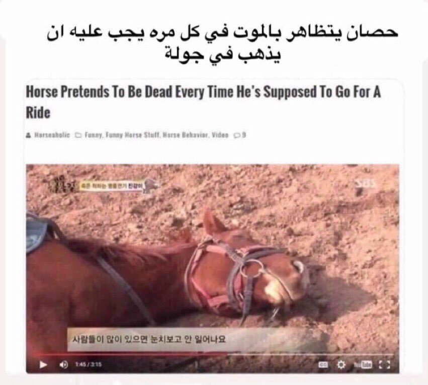 ABDF26's tweet photo. شكلي كل يوم الصبح. https://t.co/5L5hgWms3P