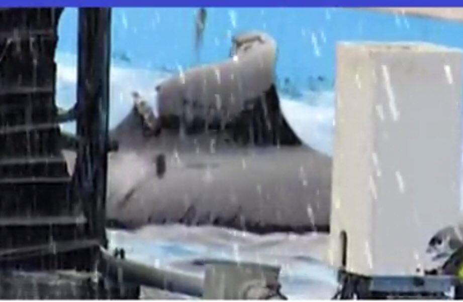 _JakeDaSnake__'s tweet photo. @ochocinco this orca is at sea world.. damn shame. https://t.co/KVMAFxIiP7