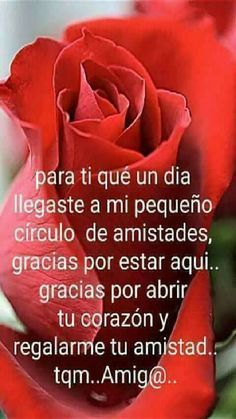 No tengo palabras para agradeceros vuestra fuerza y ánimo que me habéis mandado. Muchas GRACIAS. A tod@s.💕 Se os quiere mucho. 💜 Con todo mi cariño y amor. Hasta pronto amig@s. Cuidaros!!! 😘😘😘