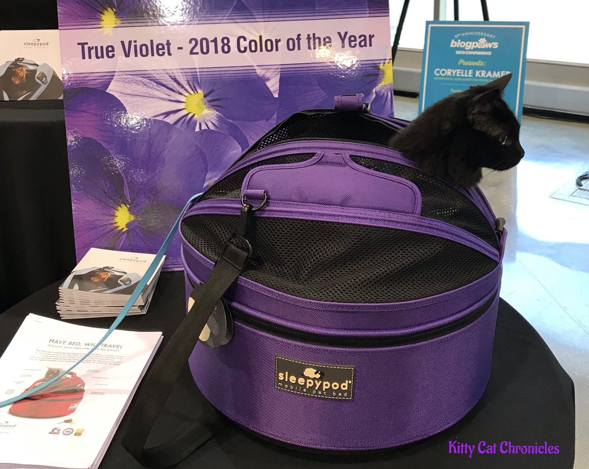 kitcatchronicle's tweet photo. Kylo Ren loves hanging out in a @sleepypod no matter where he is - even in the Cat Lounge at #BlogPaws! The new true violet color is our FAVORITE! ๐ป
#ad #sleepypod #pettravel #petsafety #trueviolet #coloroftheyear #adventurecat https://t.co/5VsNibHZuk