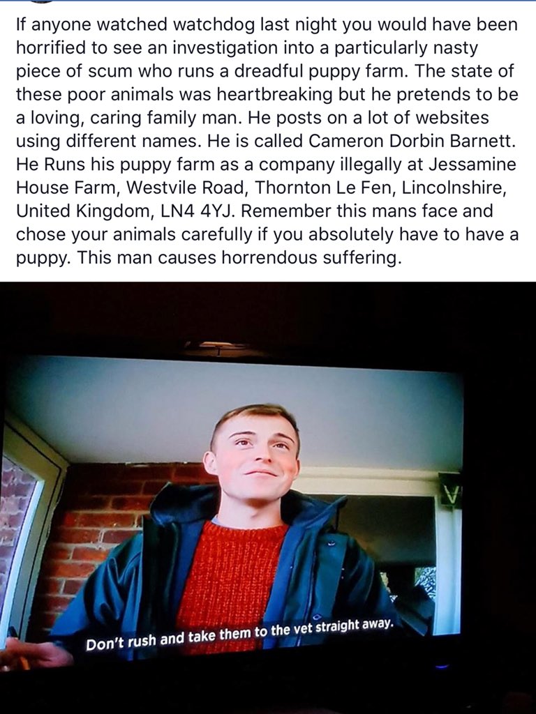 Laneylaneh's tweet photo. #RSPCA #kennelclub #evilpuppyfarmer #animalsamaritans #animalwelfare https://t.co/rn68Ez8FB2