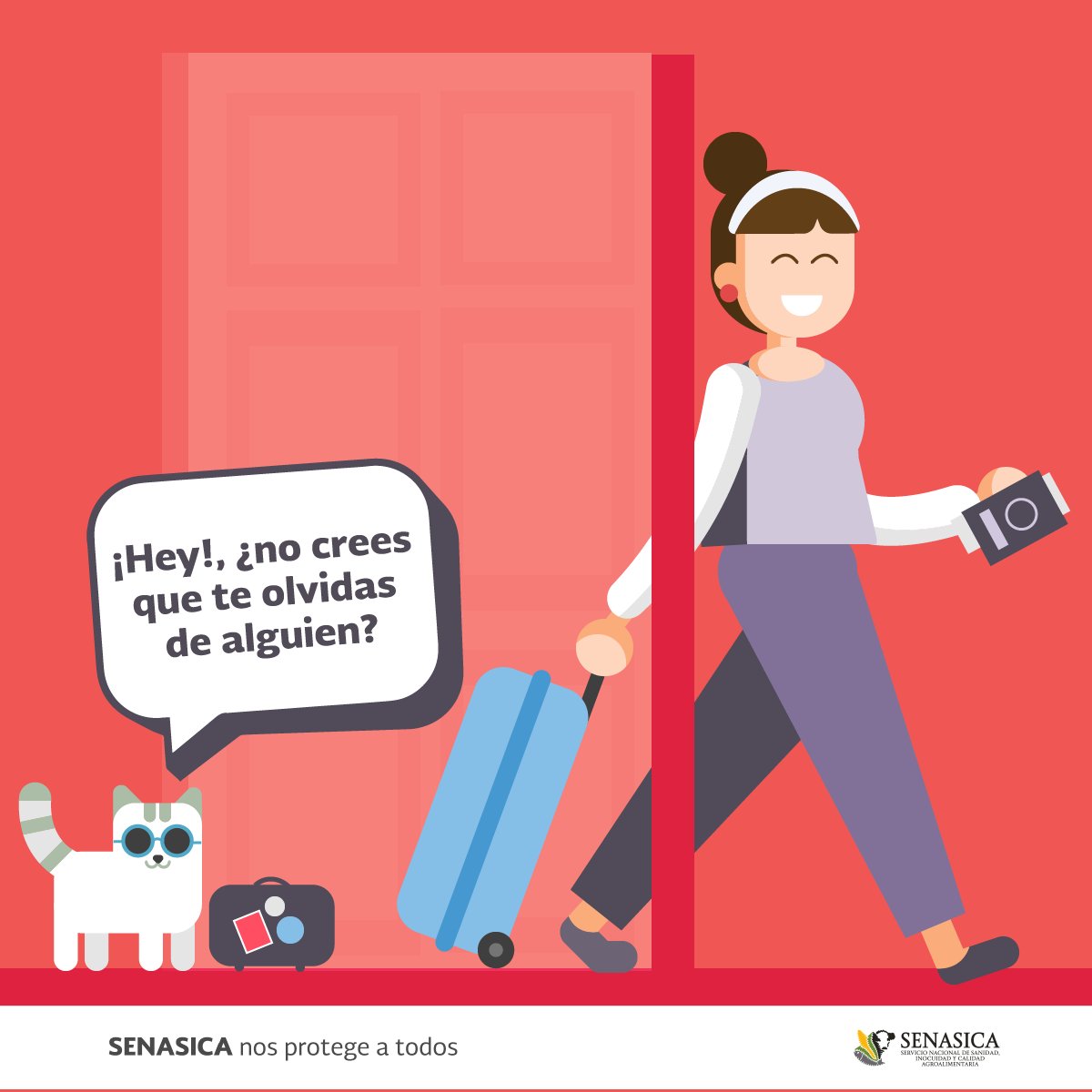 SENASICA's tweet photo. No dejes a tu mascota en casa! ¡Llévala a todas tus aventuras! Aquí te decimos qué requisitos debes cumplir: https://t.co/iIgrNa5lRq https://t.co/9kIlXifXnP