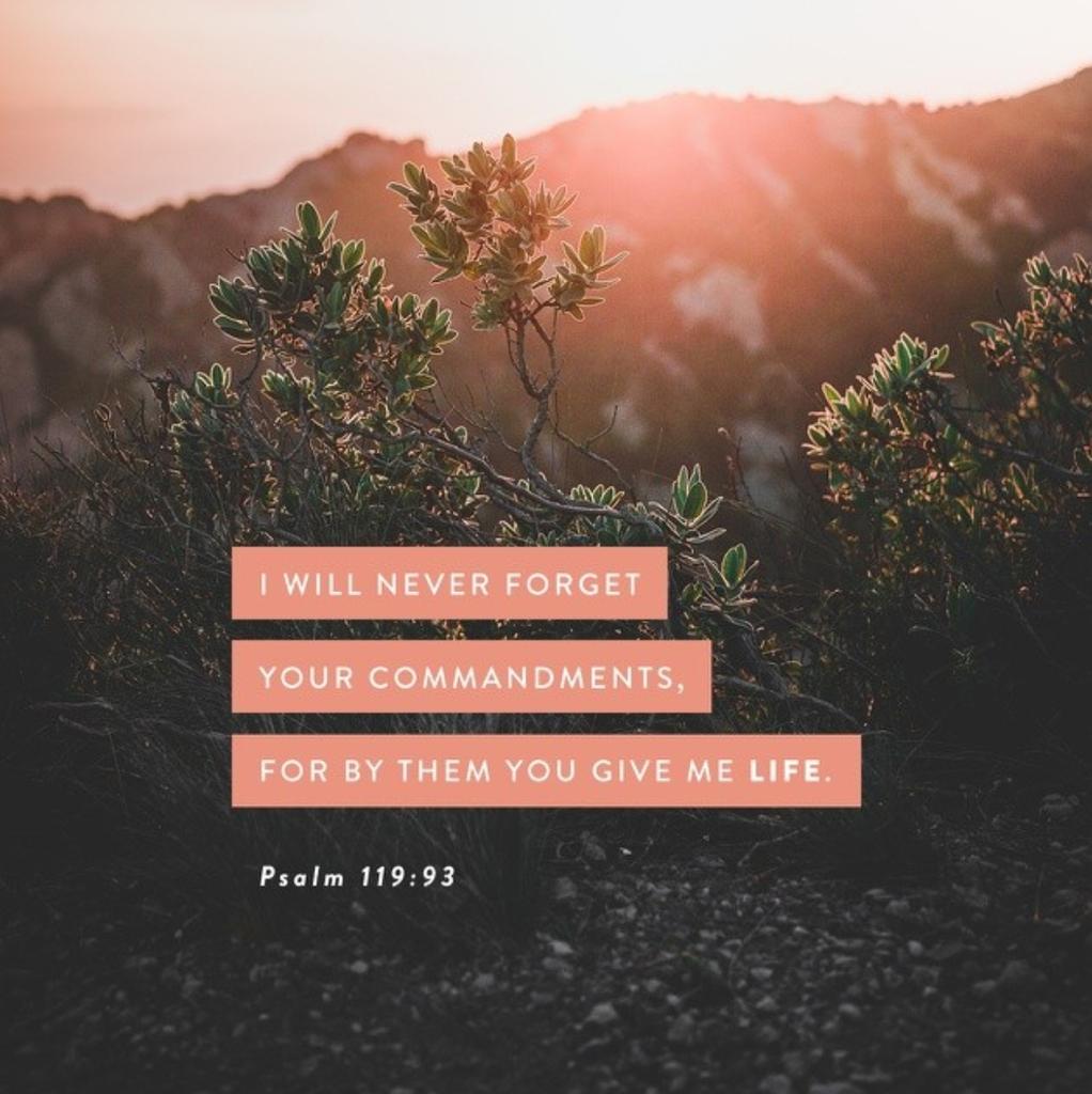 GuysItsKayla's tweet photo. #gf47 i love psalms and especially this one because it reminds me of God's mercy ❤🙌🏾 @MUGospelSingers https://t.co/eRqvOXayxc