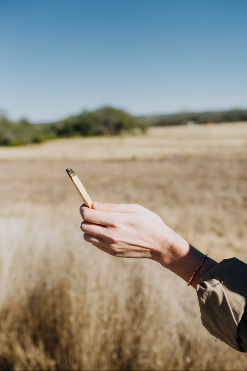 Palo Santo Sticks: What they are and why we love them lootrentals.wordpress.com/2018/04/19/pal…