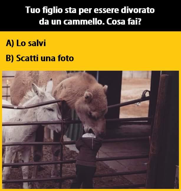 PetrAnna63's tweet photo. https://t.co/n63QwwQHPb