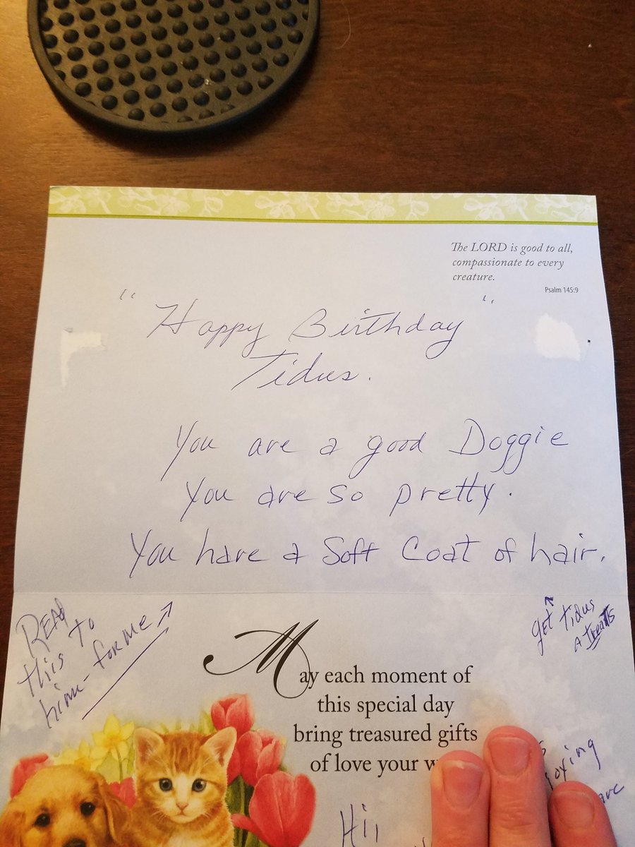 spidurmansmoved's tweet photo. my grandma sent my dog a birthday card 😭💖 https://t.co/9Z7DgEiebV