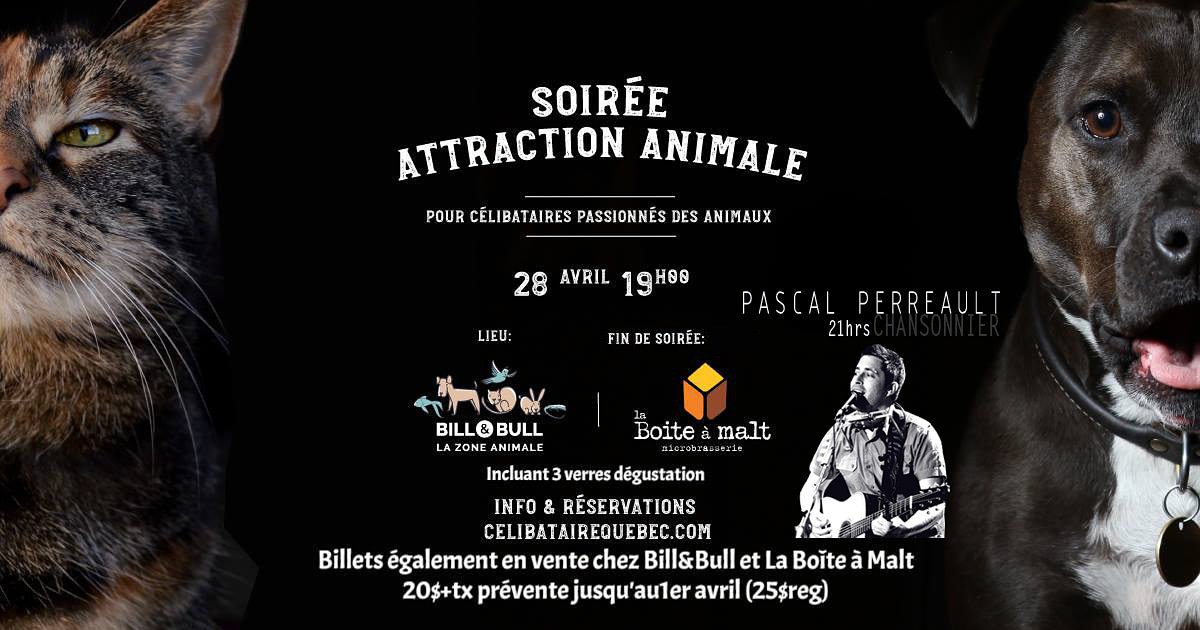 Boiteamalt's tweet photo. Samedi le 28 avril, Pascal Perreault sera avec nous dès 21h. Ce sera "l'after" de la soirée Attraction Animale avec célibataire Québec qui aura lieu chez Bill et Bull juste à côté ! https://t.co/VYn2p12jeG