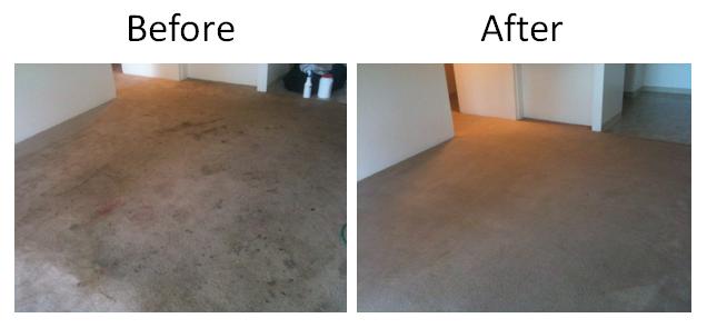 ctiproschoice's tweet photo. Pro's Choice carpet cleaning products are now available in #Canada! #Carpet #carpetcleaning @IICRCA https://t.co/IU4rqKpvCk All transactions are in Canadian dollars! https://t.co/lwW1OA0I5g