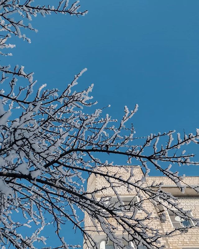 saibaken's tweet photo. .
...
.
.
.
.
.
.
.
.
.
#snow #winter #sky #vscoru #vscorussia #igersrussia #visualsoflife #visuals #naturephotography #citypark #citylife https://t.co/aEULqRnZ0Y https://t.co/5K5lyUdxFw