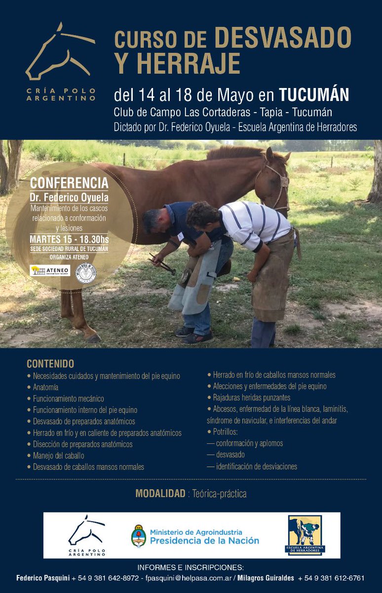 Polo Argentino tweet media