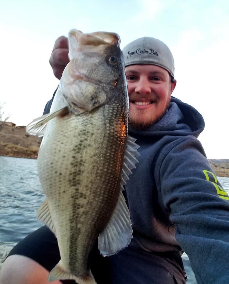 R_kegs's tweet photo. Today starts Day 1 of the 2018 Carhartt College Southern Tour presented by Bass Pro Shops! CMU Bass Fishing club member Josh Worth  #bassmaster #collegeseries #carhartt #carharttcollege #pickwicklake #bassproshops #fishing #catchbigbass #RumbleMavs https://t.co/e6fLx2pUsH