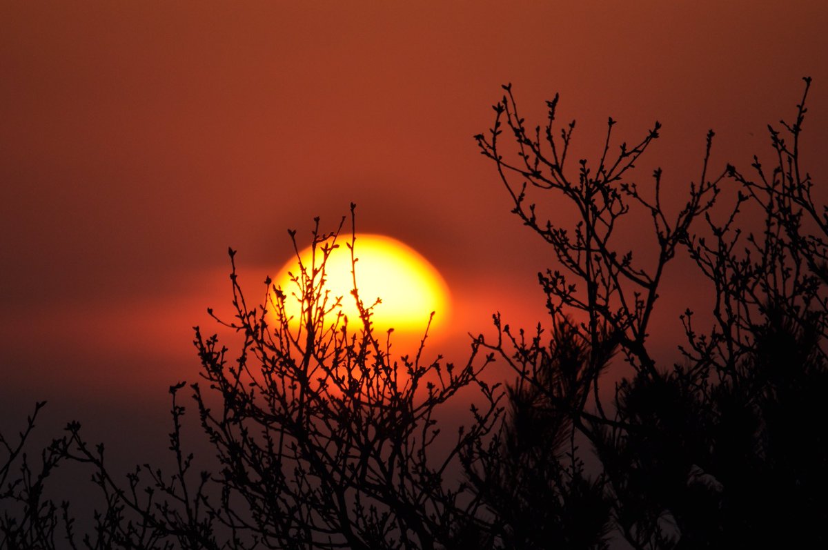 HelenHone's tweet photo. Sunrise and sunset 25 degrees #stunning https://t.co/WvFzcop0nw