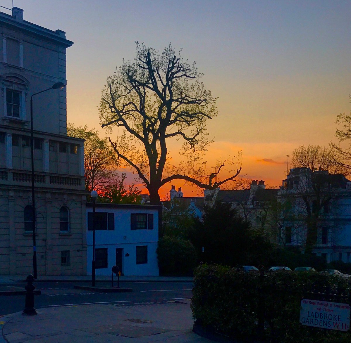 Sarah Reygate tweet media