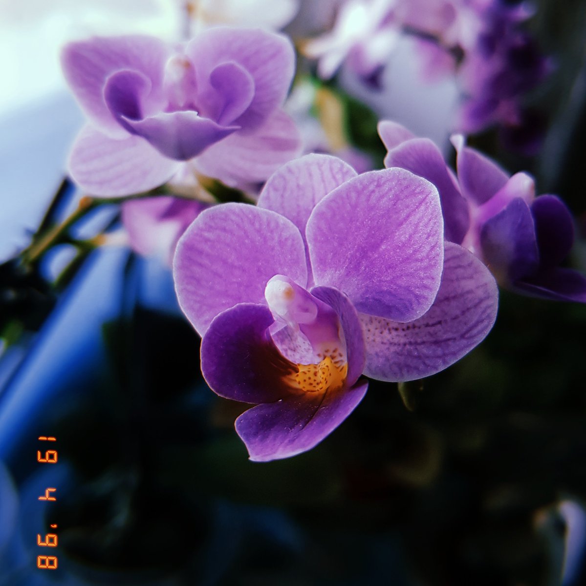 CaesarInBlack tweet picture