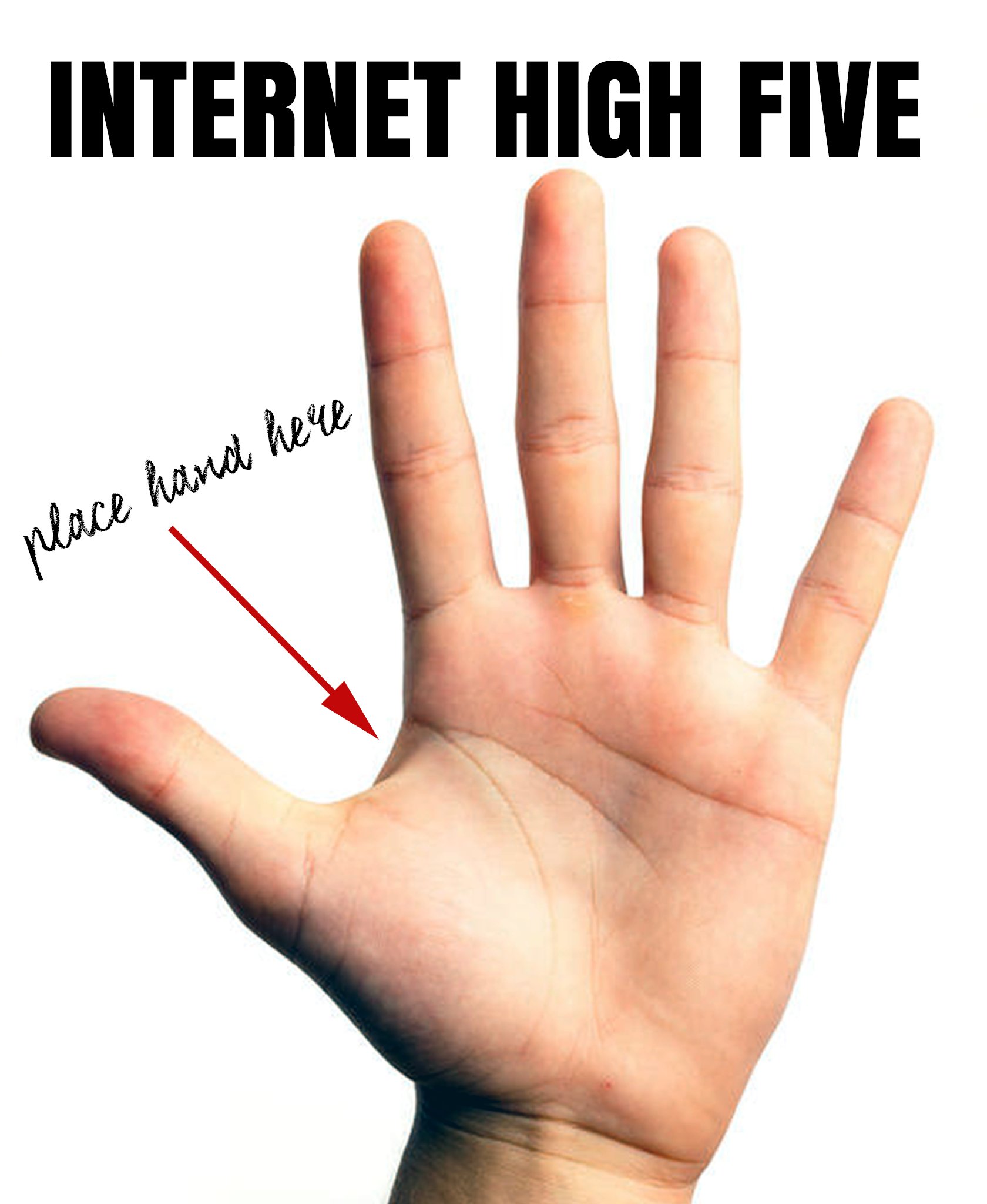 Internet High Five
