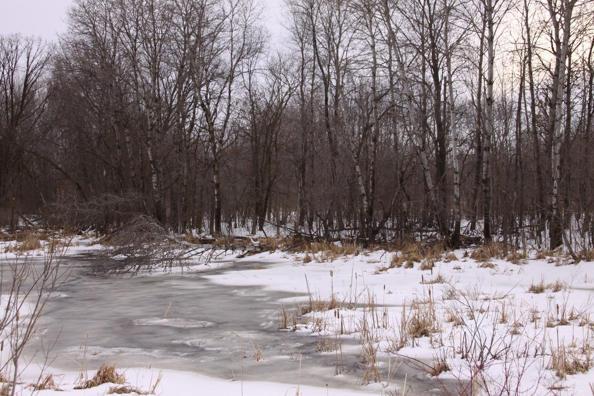 MikeandLaine's tweet photo. New Lot Listing in Baldwin, WI! 10 acres with more available! https://t.co/pwWNZulpGm #mikeandlaine #mlandersonrealestate #openbuilder #buildyourdreamhome https://t.co/pCL75IDBth