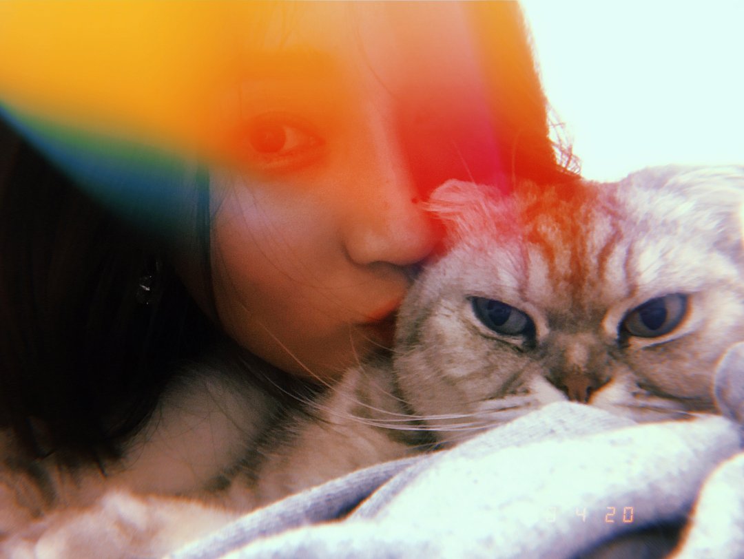 ItsJiaTime's tweet photo. [Instagram mjbaby0203]

GN💚 https://t.co/zOLaykqisG