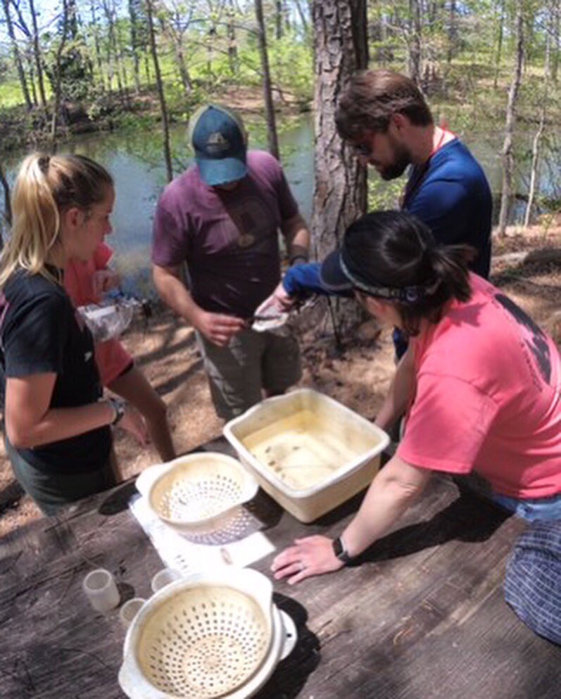 donohoschool's tweet photo. 5th and 6th graders are engaging in hands-on learning at Camp McDowell this week.  They are becoming more environmentally aware through teamwork, collaboration. storytelling, nature, and conservation.  6th grade finished up their time yesterday, and 5th grade followed behind! https://t.co/F8L3mepD2I