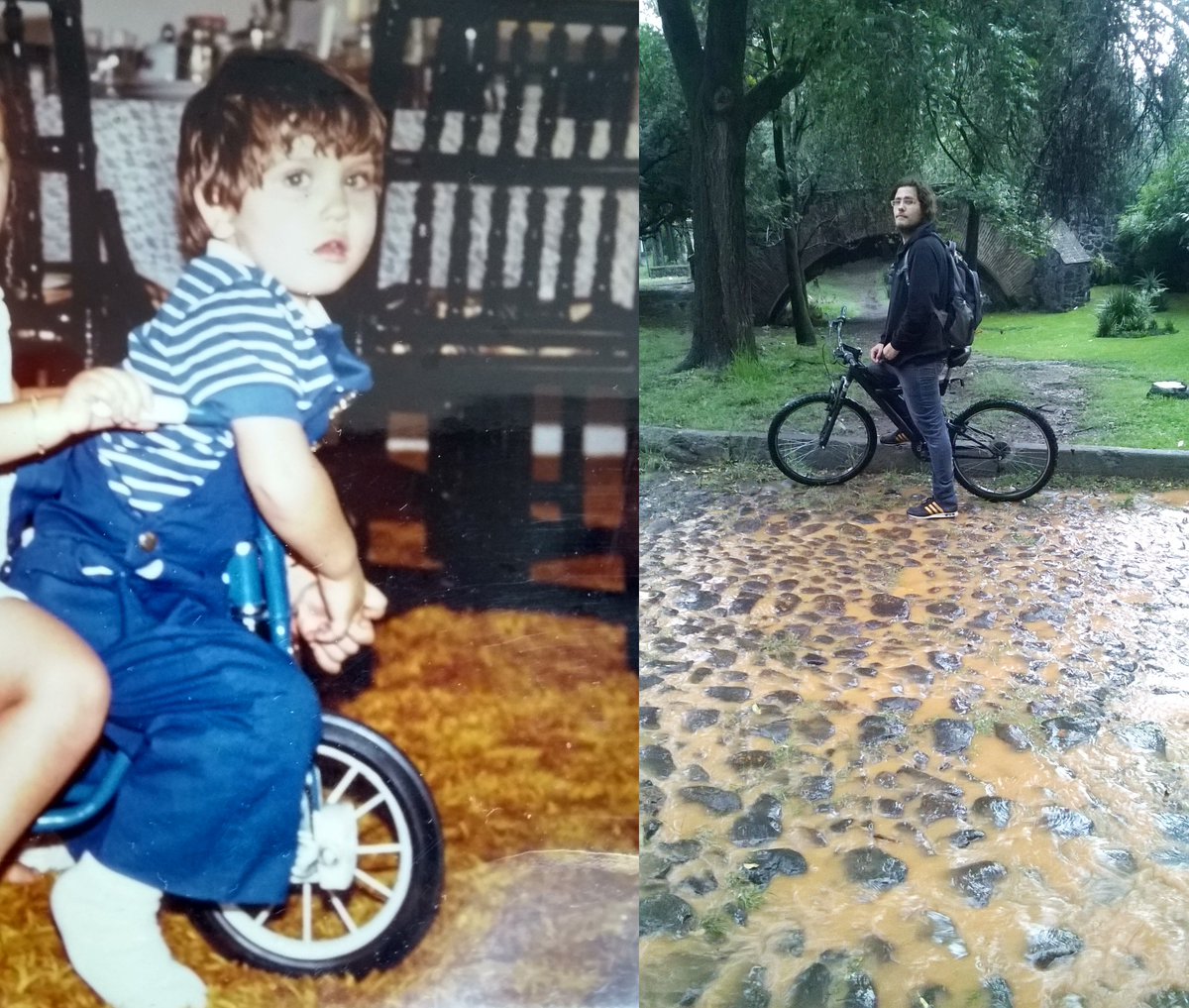 Christian Nader tweet media