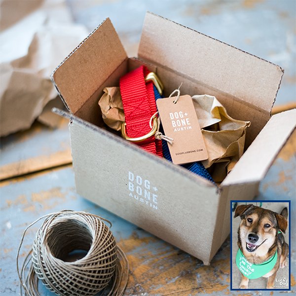 DCLuckyDog's tweet image. Does your dog need a new leash or martingale collar? If so, we've got the deal for you! Starting tomorrow through 12AM central Sunday April 22nd, @dogplusbone will be donating 1/2 of their total sales to Lucky Dogs and Cats in need. Visit dogplusbone.com to learn more.