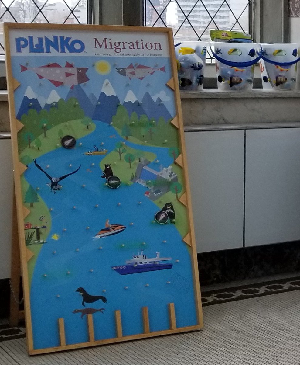 MuseumofNature's tweet photo. Learn about fish migration and play Plinko #ScienceByNight until 9pm. Fun activities thanks to Carleton University. https://t.co/93THWqwU8s