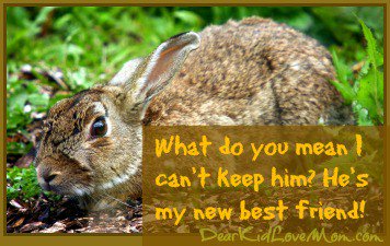 Our Backyard is Perfect dearkidlovemom.com/our-backyard-i…