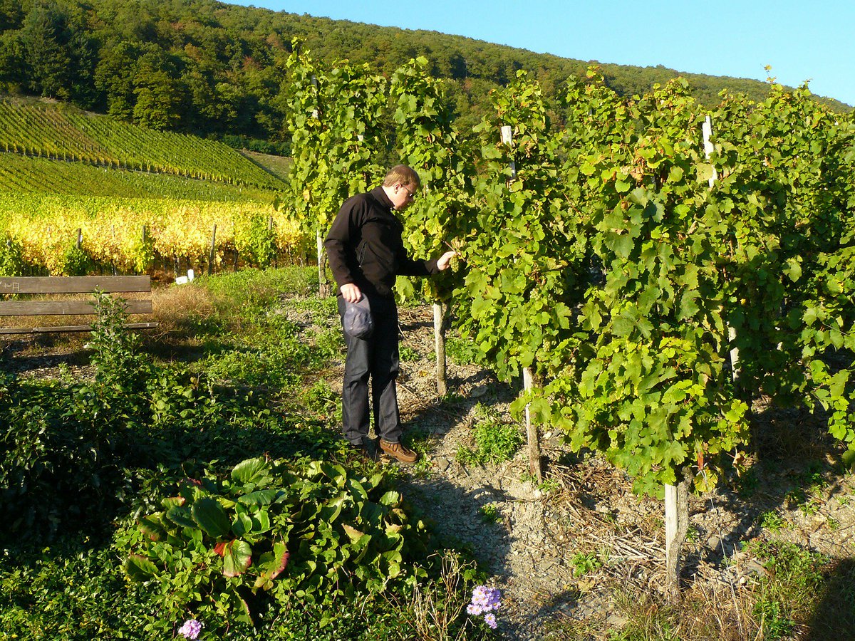 eOrchard_app's tweet image. 8 time management and work organization tips for vineyard managers, to become more productive and efficient at work

ow.ly/3hB130jzv8G  

#work #timemanagement #workorganization #productivity #vineyard #manager