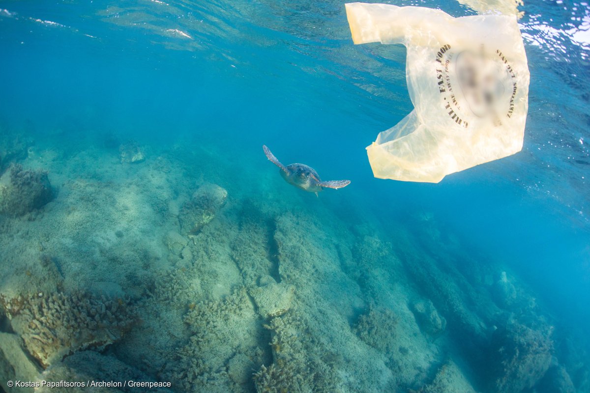 Greenpeace's tweet image. Single-use plastics are a problem — it’s not enough to #recycle anymore. 
act.gp/2q4dXkg #MillionActsofBlue