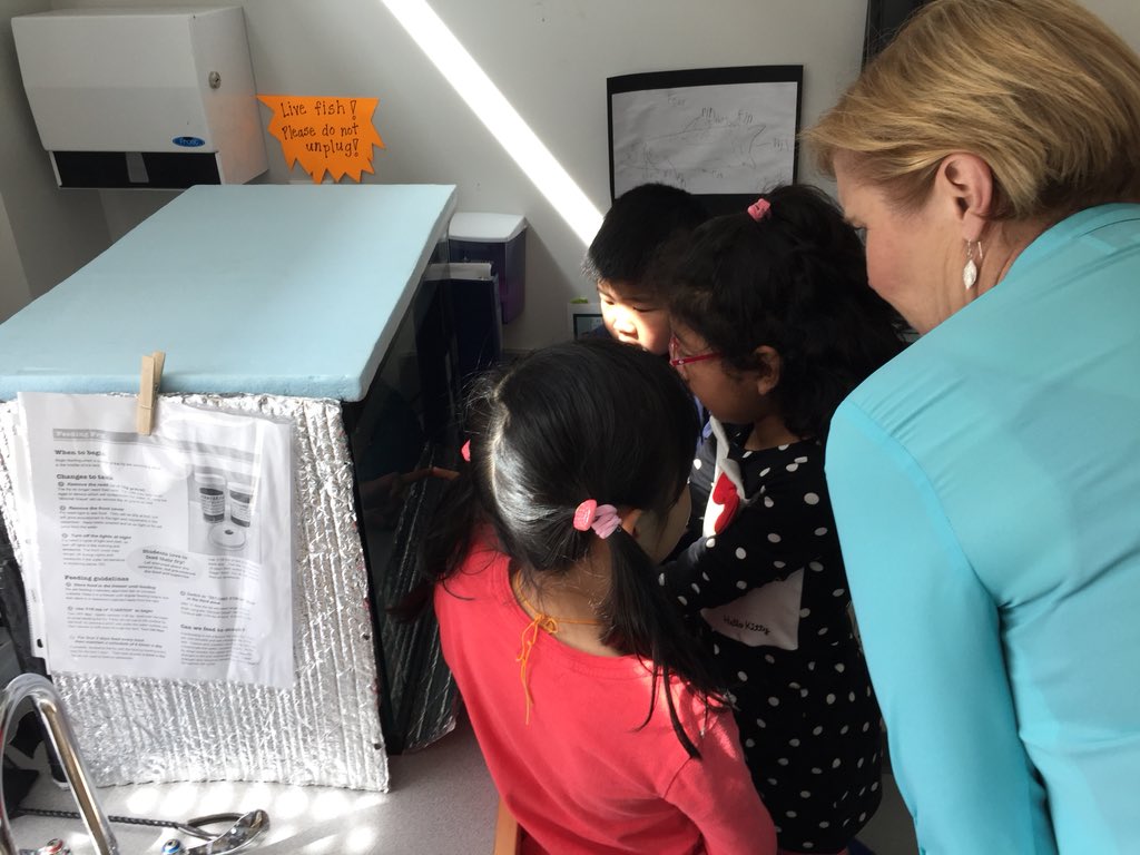 Sharing a part of NRP with Superintendent <a href="/SAHoffman/">Suzanne Hoffman</a> <a href="/VSB39/">Vancouver School Board</a> Thanks for visiting!