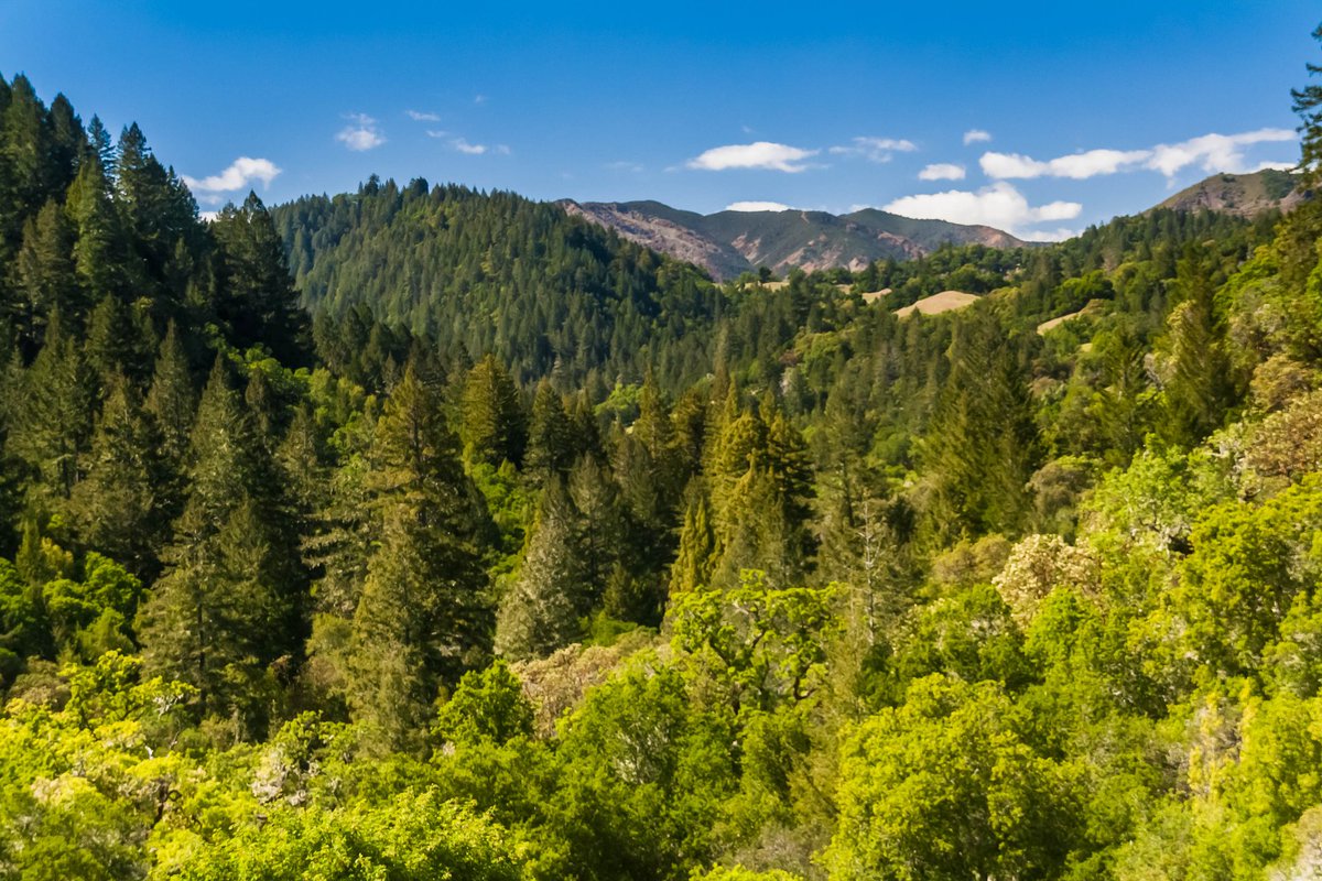 InsideSonoma's tweet photo. With hundreds of deals on winery tours, culinary experiences, outdoor activities &amp; more, your #SonomaExplorer adventure awaits. 
Download our free Explorer Map and begin your journey here: https://t.co/ByGJZCQy6z https://t.co/mupUbTEI2w