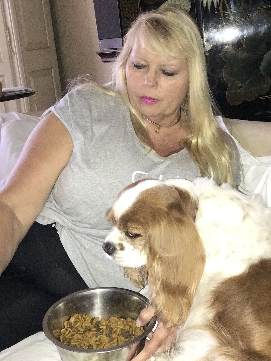 Kimberly Kupps On Twitter My Cavaliers Want To Be Hand Fed …