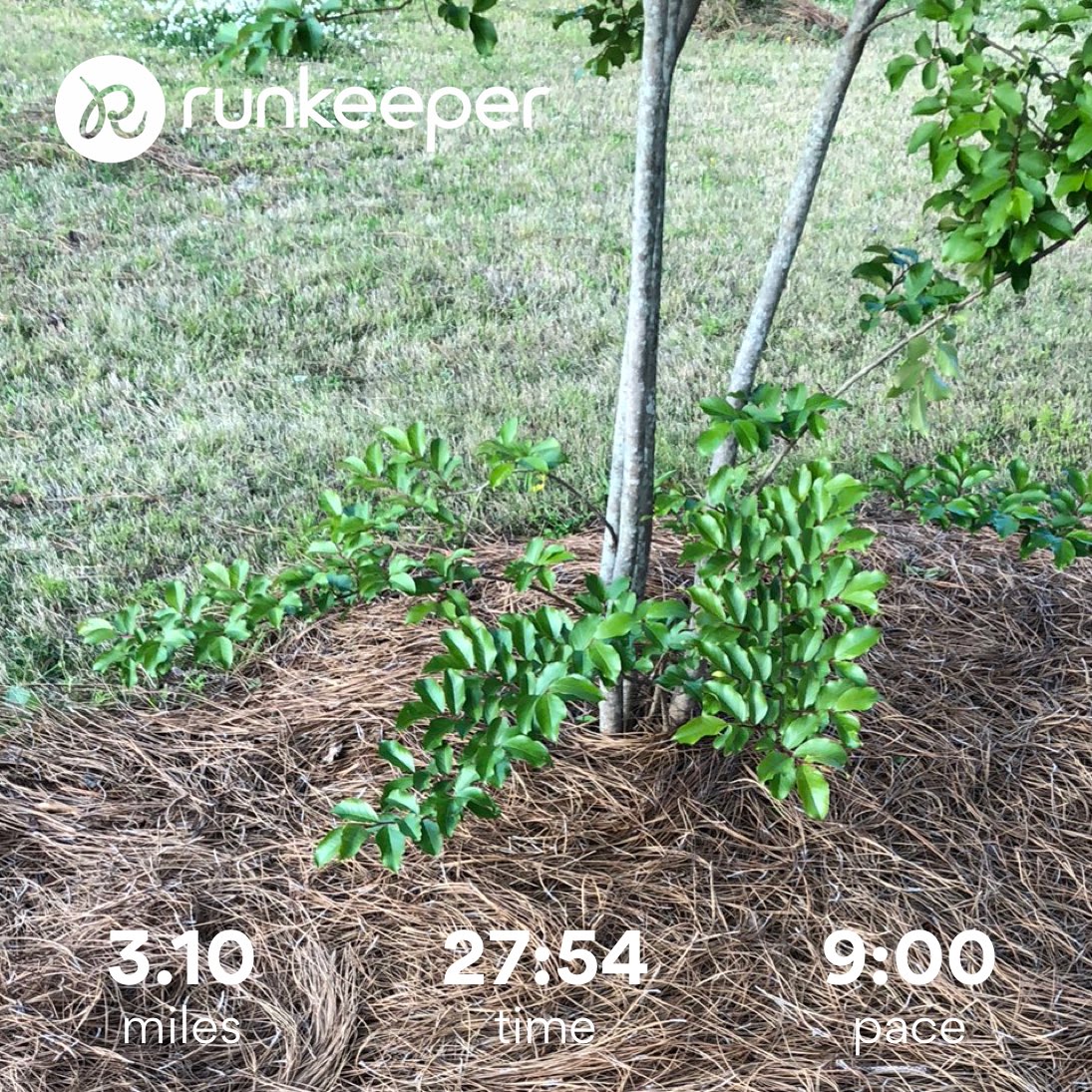 dewaynemoree's tweet photo. I thk I might be ready for the @MS_COG Run 4 Hope Sat! @OrphanRun4Hope @mary_moree #msrun4hope #fb #sponsorme https://t.co/d8FLkeFZWt https://t.co/laBGoLhHOs