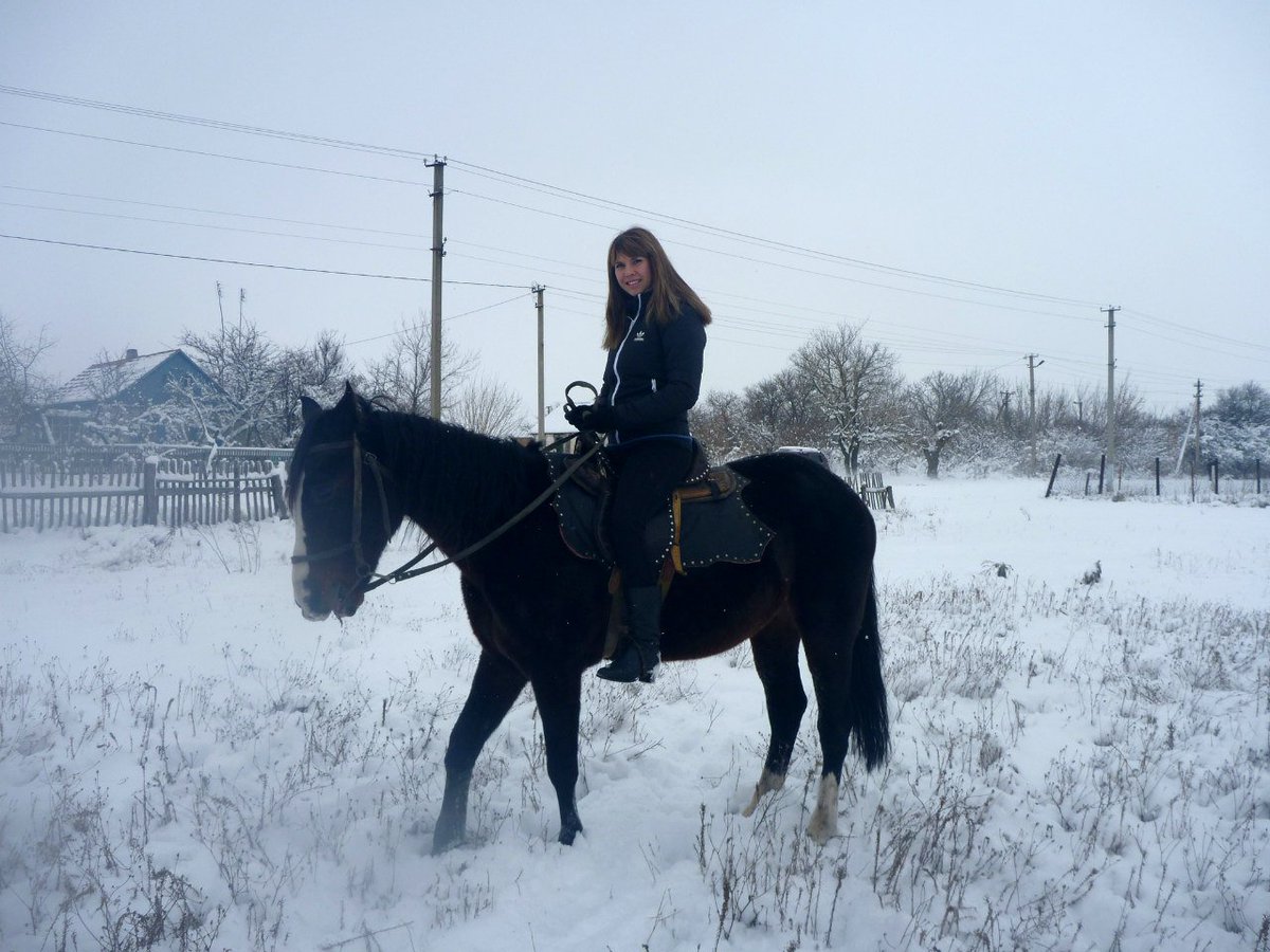 smakse18's tweet image. 