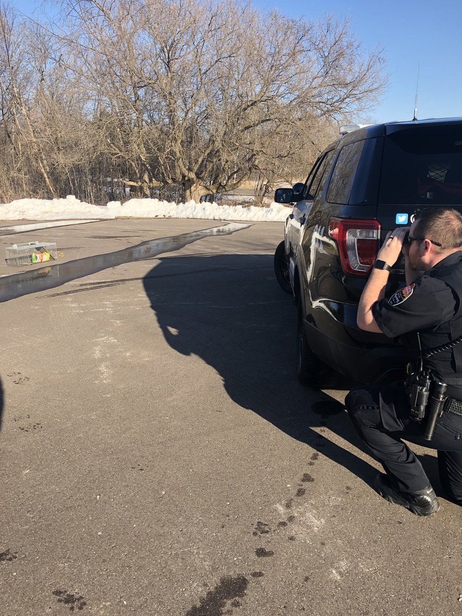Wyoming (MN) Police tweet media