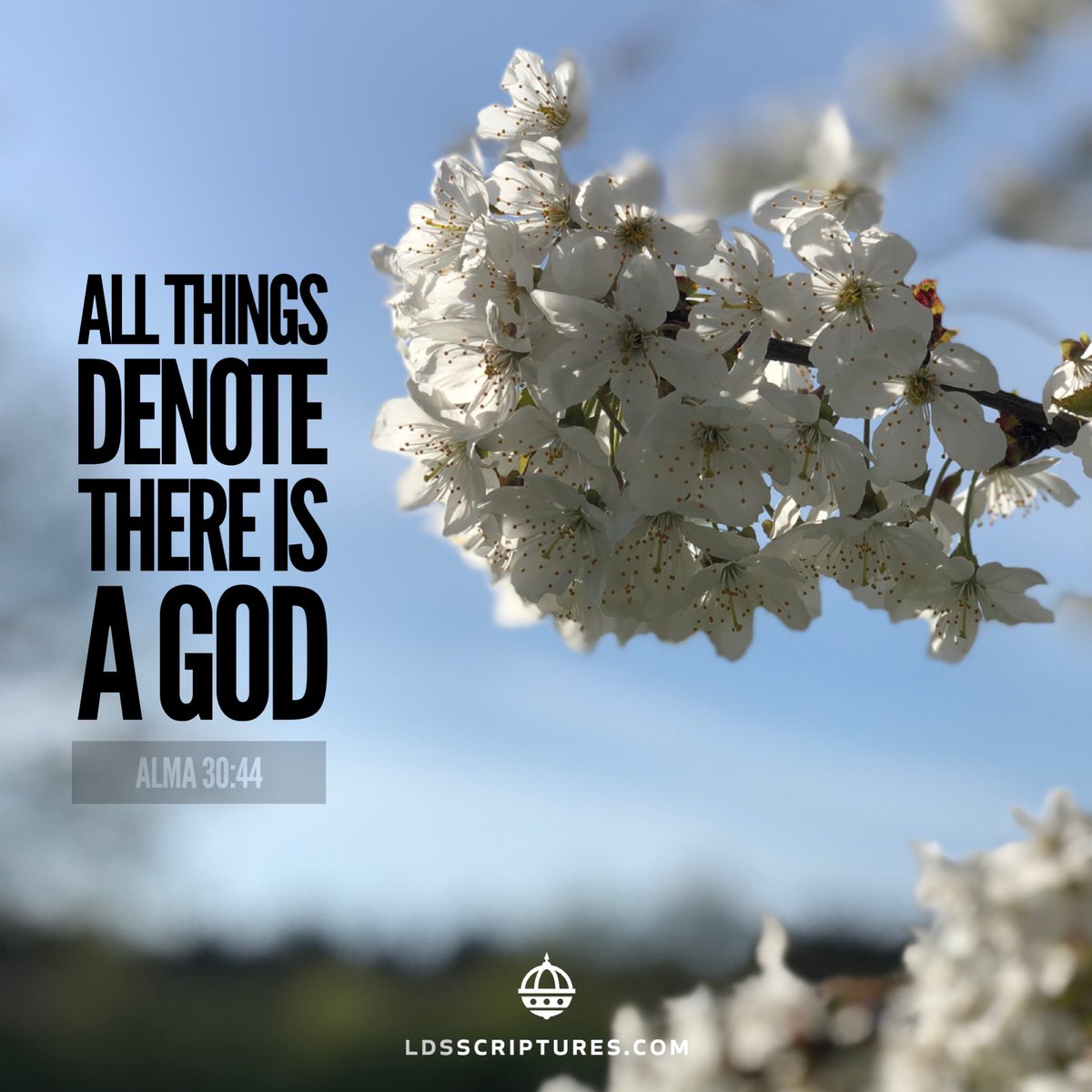ldsscriptures's tweet image. All things denote there is a God. Alma 30:44