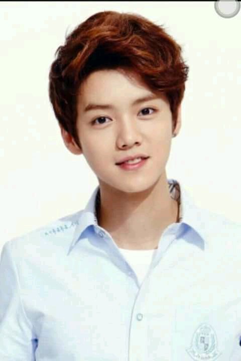 Happy birthday lu han lu han day 