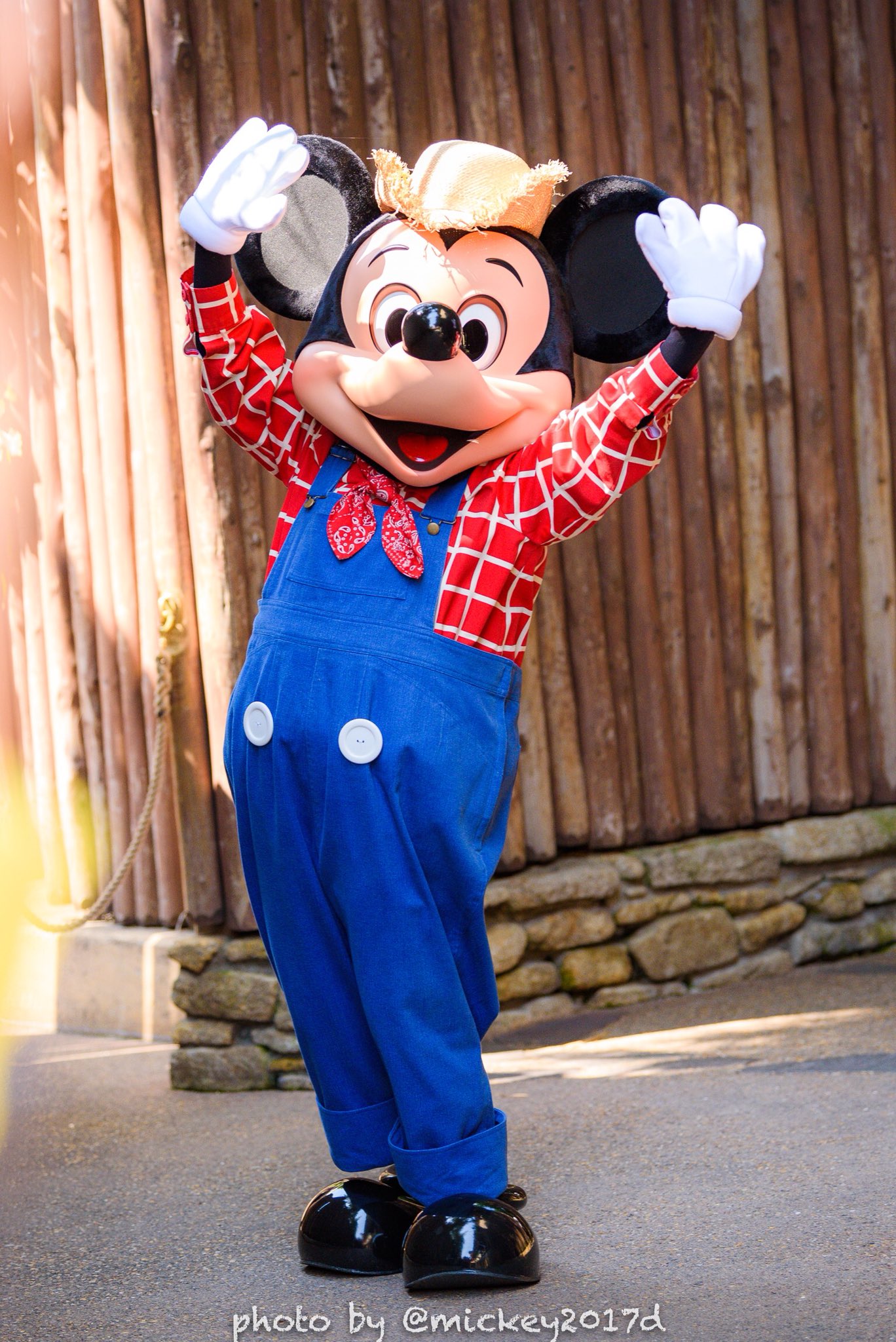 Disney - さんちゃん ちゃん☆ (@mickey2017d) / X