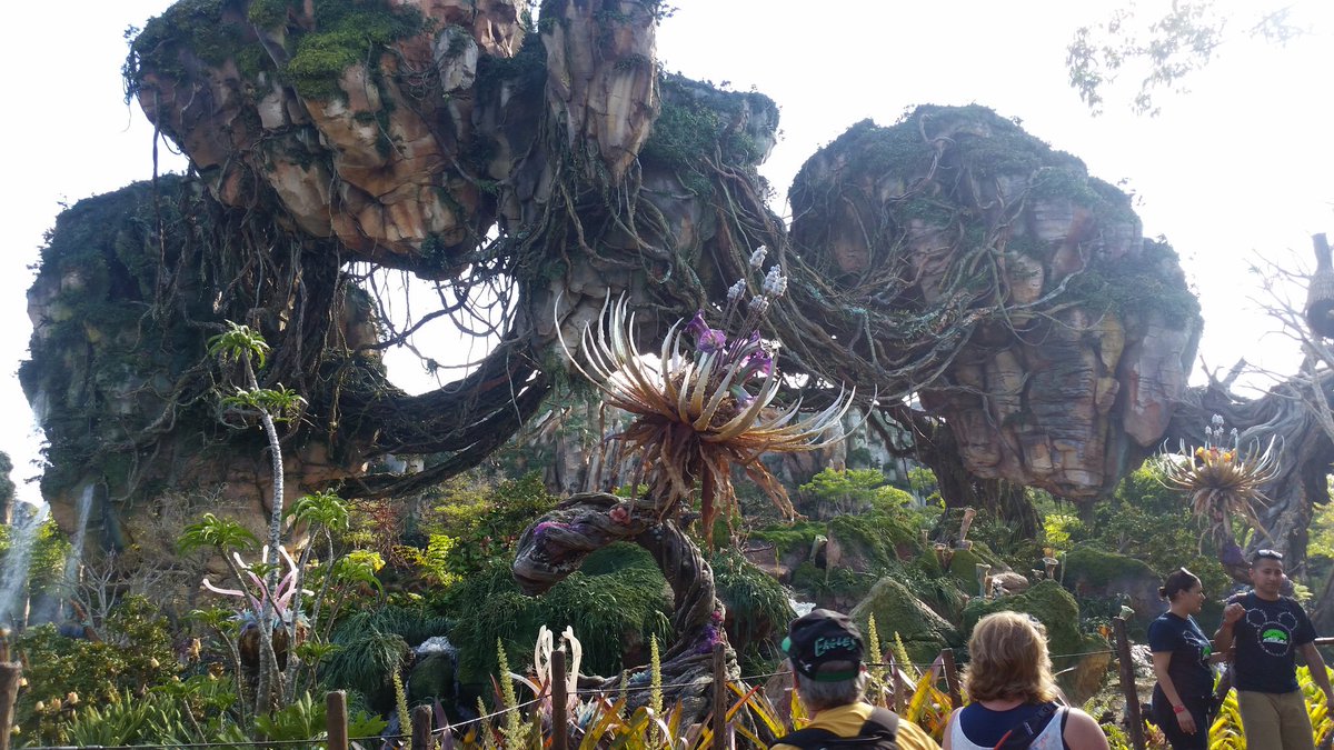 suzmattaboni's tweet photo. Visited the floating mountains of Pandora today. Wild!! #Disney #AnimalKingdom #FinallyVacation https://t.co/zZmOrNouhH