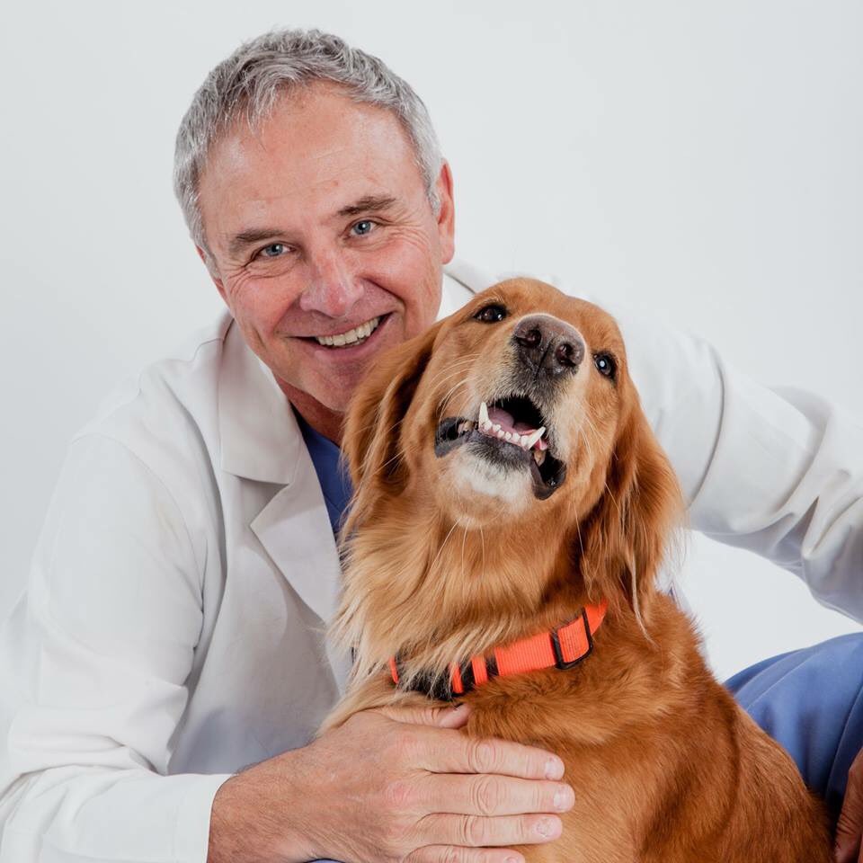 gcvspecialists's tweet photo. Dr. Brian Beale & Dr. Wayne Whitney have been named Founding Fellows in Minimally Invasive Surgery for Small Animal Orthopedics by the #AmericanCollegeofVeterinarySurgeons (#ACVS)! #CONGRATULATIONS DR. BEALE & DR. WHITNEY! #THEBESTDOCTORS #weloveyouguys #GCVS https://t.co/Cb2SXfFkVD
