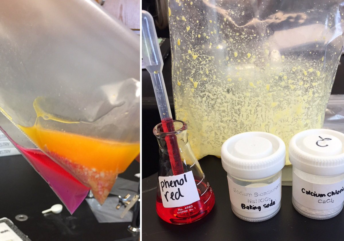 DenmanChem's tweet photo. Intro to #ThermoChem today with the "Baggie Lab" for endothermic &amp; exothermic reactions #baggielab #scienceisawesome #cacl2  #chemchat https://t.co/kpQRH1Ejtm