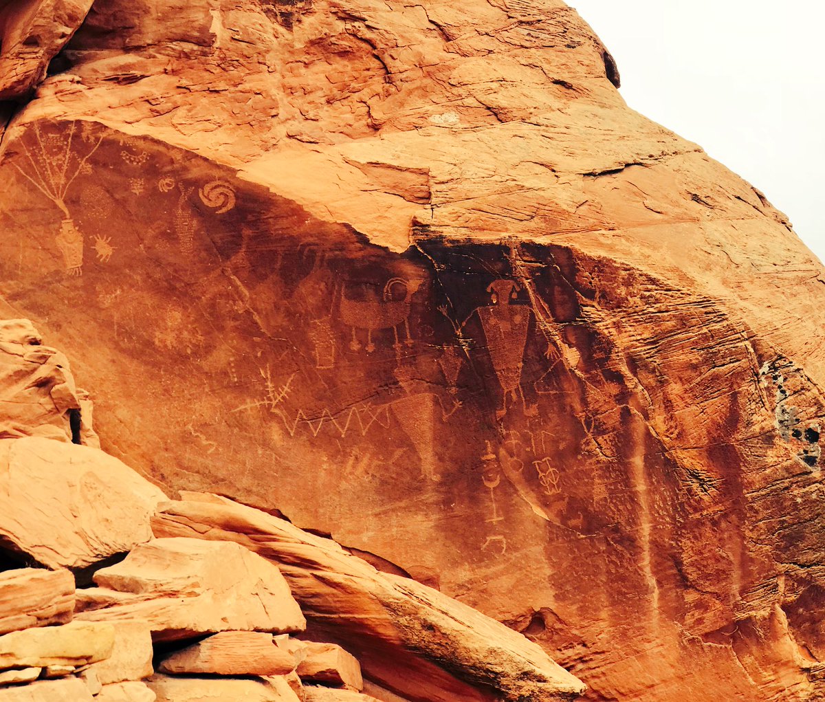 future_rift_doc's tweet photo. You mean we also get some culture. Geology rocks 🤦🏾♀️🙈💅🏾 #geology #navajo #Indigenous #fieldlove https://t.co/WxtiK1PrDV