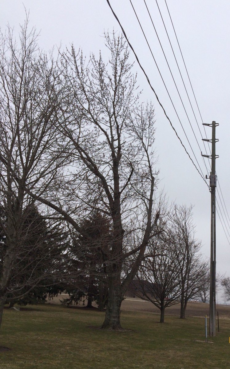 Hydro One On Twitter Hi We Would Like To Look Into This Can You Please Send The Details To Us At Twitter Hydroone Com Tw