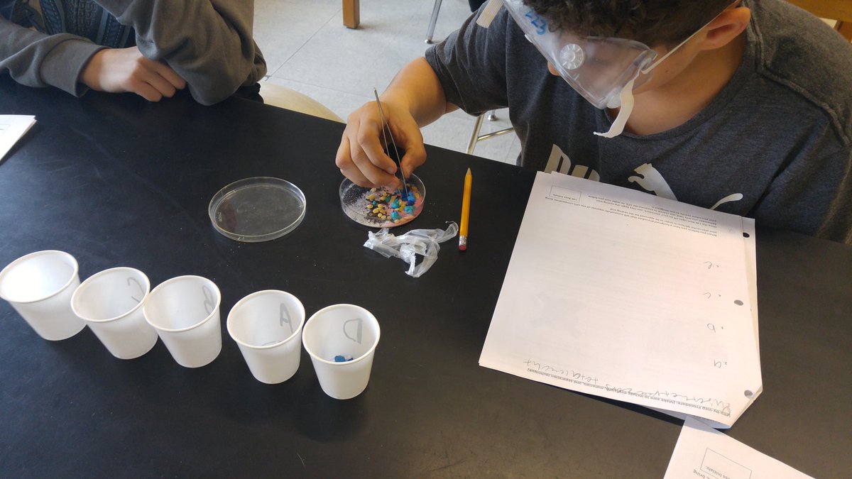 Aphillips082376's tweet photo. Today they said it smelled like science! Designed and performed their experiment. Can you use 5 separation methods to separate the unidentified foreign substance.#middleschoool #sciencesmells https://t.co/0leRKl8b2K