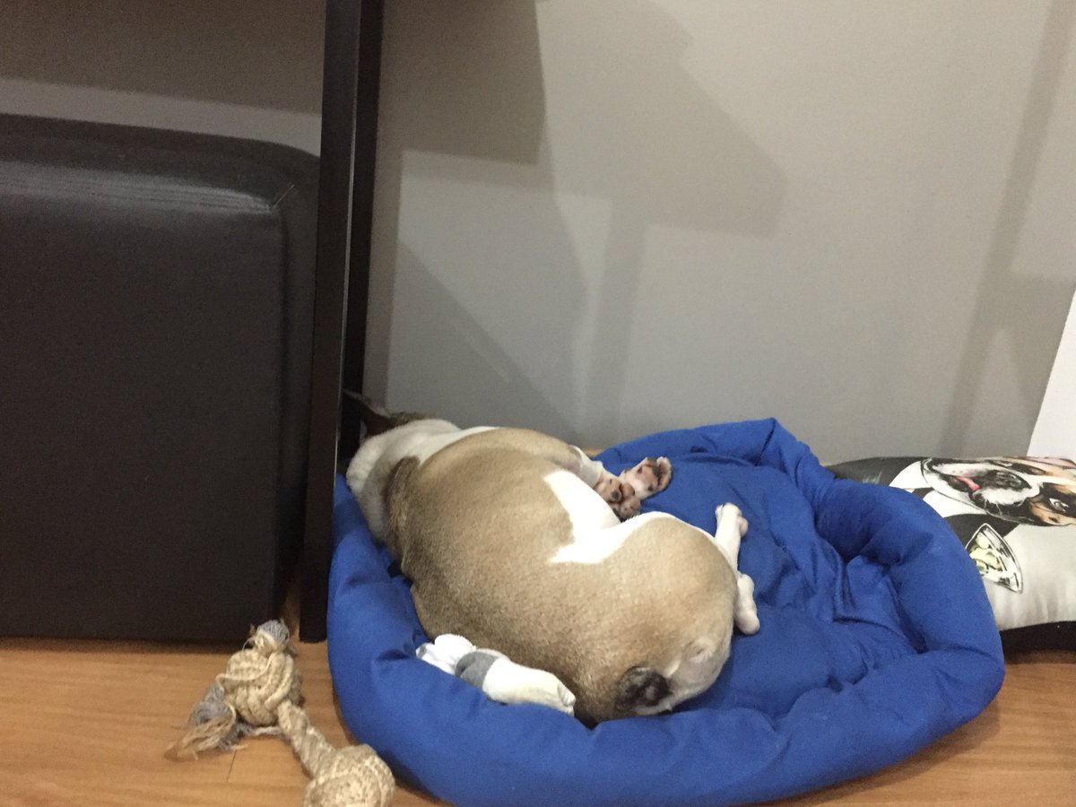 naise's tweet photo. Se seus pais fazem happy hour inesperado e você desaprova... https://t.co/S0BgAvQPiG
