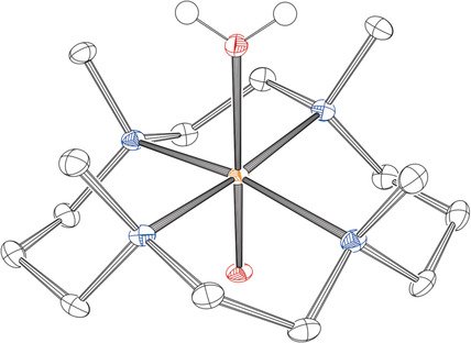 angew_chem's tweet photo. Synthesis of an iron(IV) aqua-oxido complex using ozone as an oxidant #bioinorganic #ironcomplexes #Moessbauer https://t.co/FpdTBAYCKf https://t.co/fGGXRSKBOd
